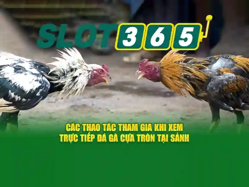Giao diện thân thiện với người dùng và phiên bản di động