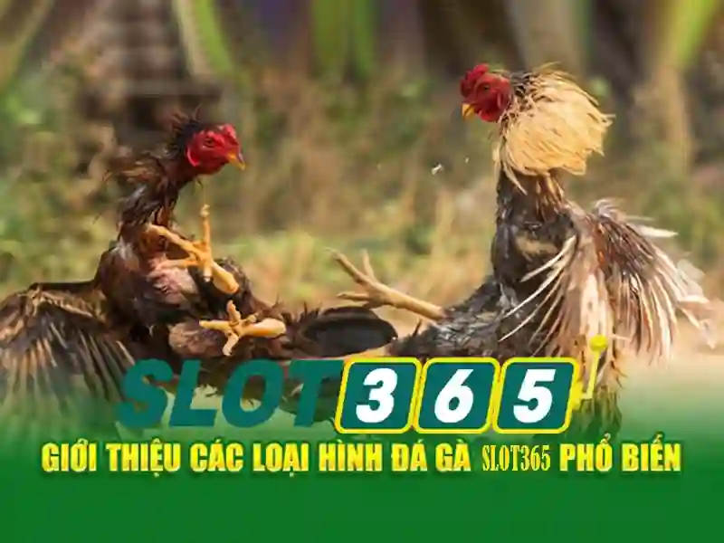 Danh mục trò chơi và thiết kế