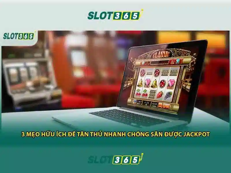 Slot365: trải nghiệm slot trực tuyến hàng đầu
