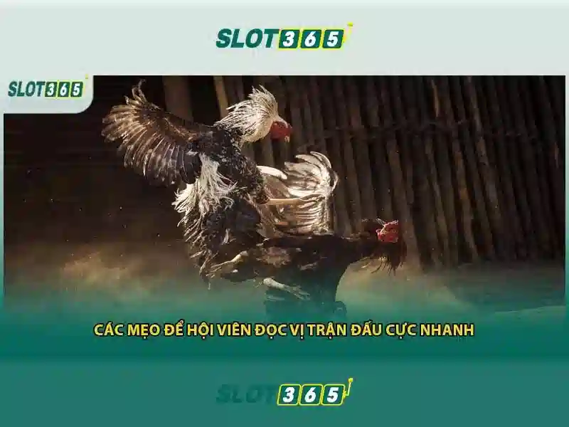 Khuyến mãi và chương trình thưởng Khuyến mãi và chương trình thưởng