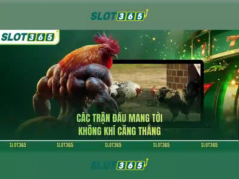 Slot365 — Nền tảng slot trực tuyến hàng đầu