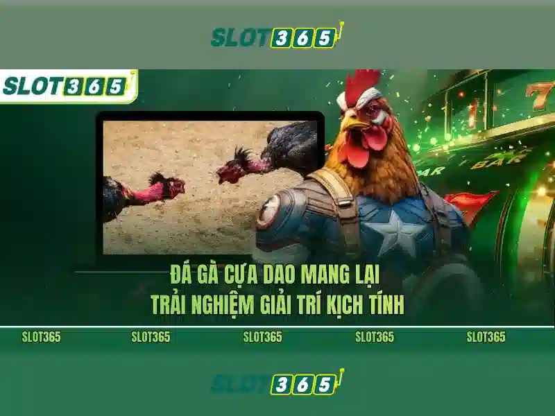 Slot365: Nền tảng slots trực tuyến đáng tin cậy