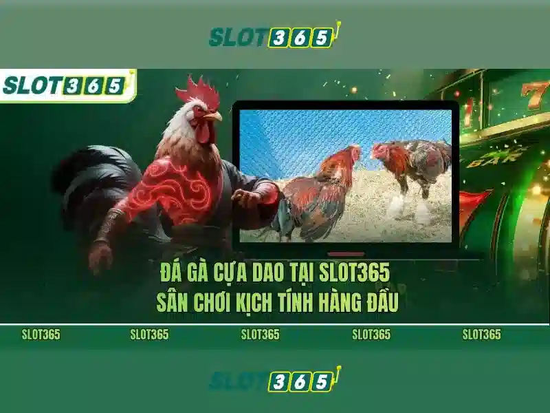 Đánh giá Slot365 – Tổng quan và giá trị cốt lõi