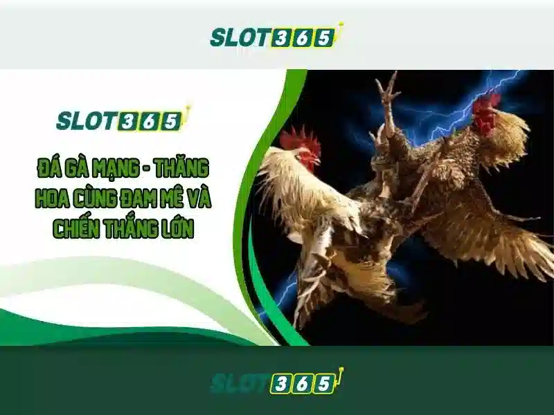 Sản phẩm và Dịch vụ chính: Ứng dụng thực tế của slot365 tải