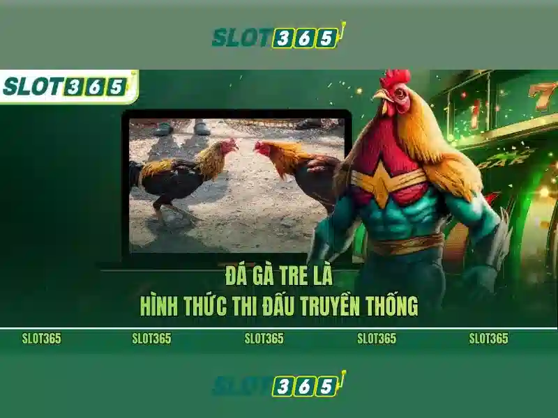 Slot365: Nền tảng giải trí xèng trực tuyến hàng đầu