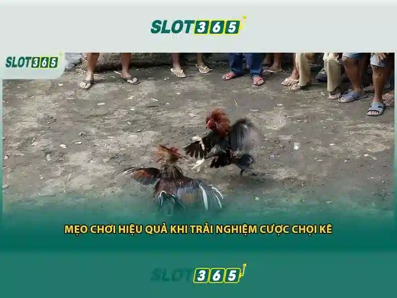 An toàn và hỗ trợ người dùng