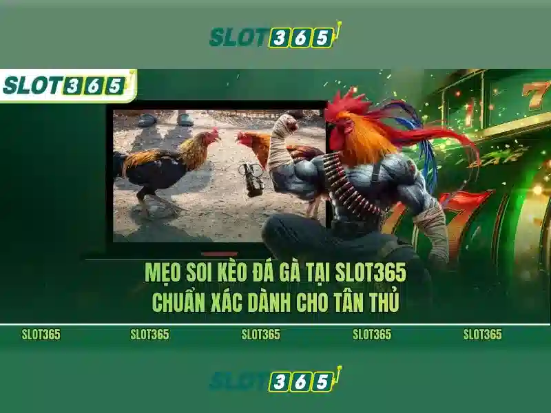 Slot365: Trải nghiệm chơi slot trực tuyến tốt nhất