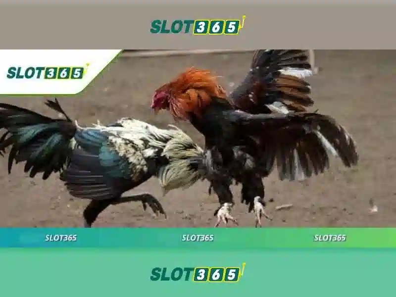 Slot365 - Đánh giá và trải nghiệm xèng trực tuyến