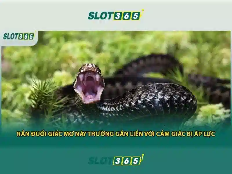 Những tính năng nổi bật Những tính năng nổi bật