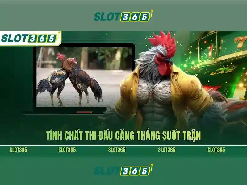 'An toàn và bảo mật'