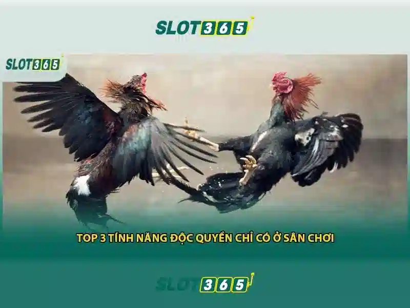 Slot365: Nền tảng slots trực tuyến hàng đầu