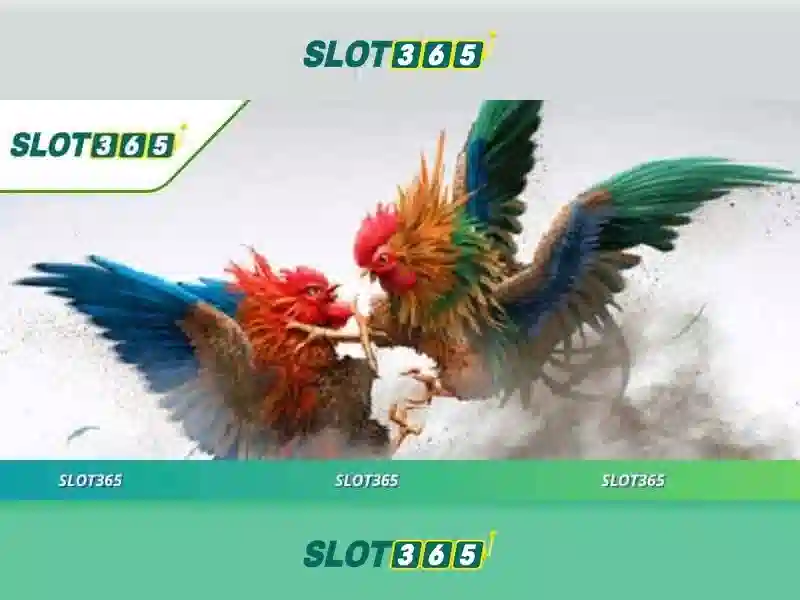 Slot365 – Trải nghiệm slot trực tuyến đẳng cấp