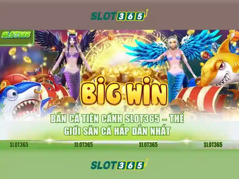 Slot365 – Trải nghiệm máy slot trực tuyến tuyệt vời