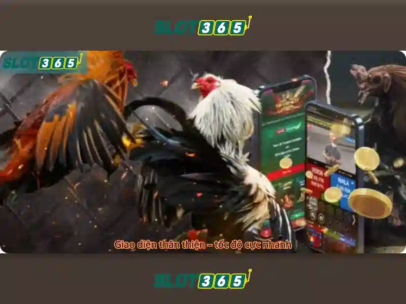 Slot365: Trải nghiệm đánh bạc trực tuyến nổi bật