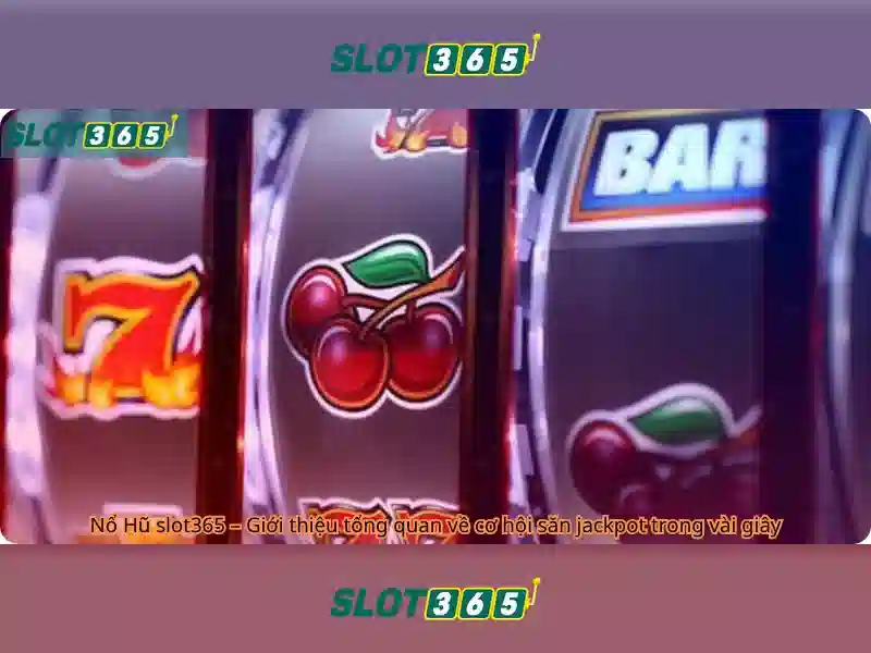 Slot365: Khám phá nền tảng slot trực tuyến đáng tin cậy