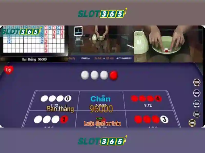 Slot365: Nền tảng giải trí trực tuyến với slot đa dạng