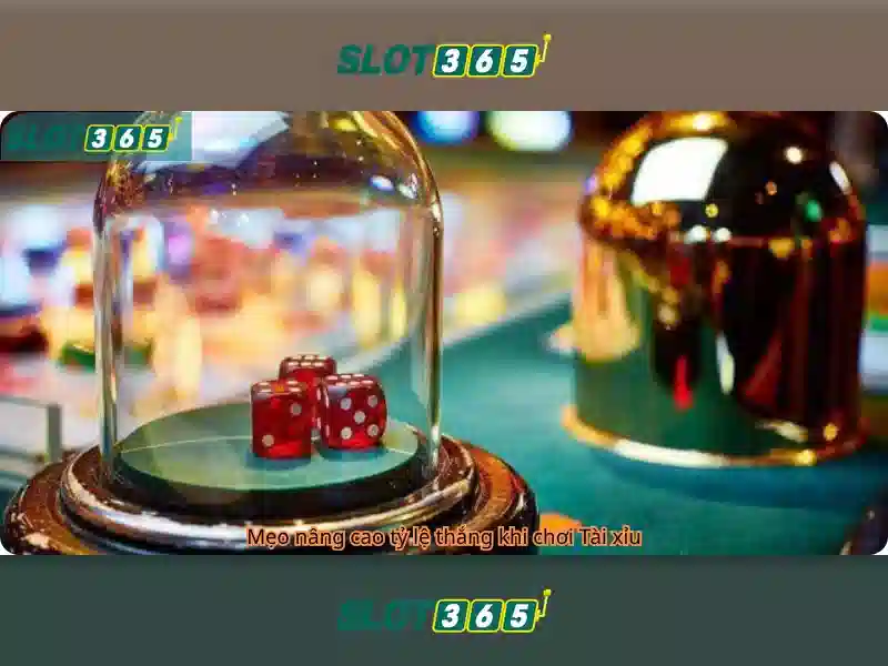 Slot365 - Nền tảng slot trực tuyến uy tín và hấp dẫn