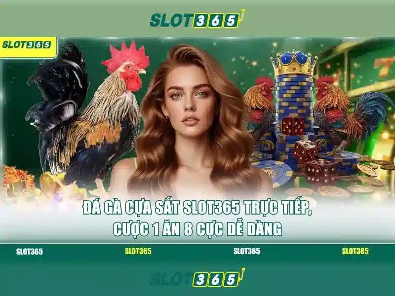 Slot365: Trải nghiệm máy đánh bạc trực tuyến đỉnh cao