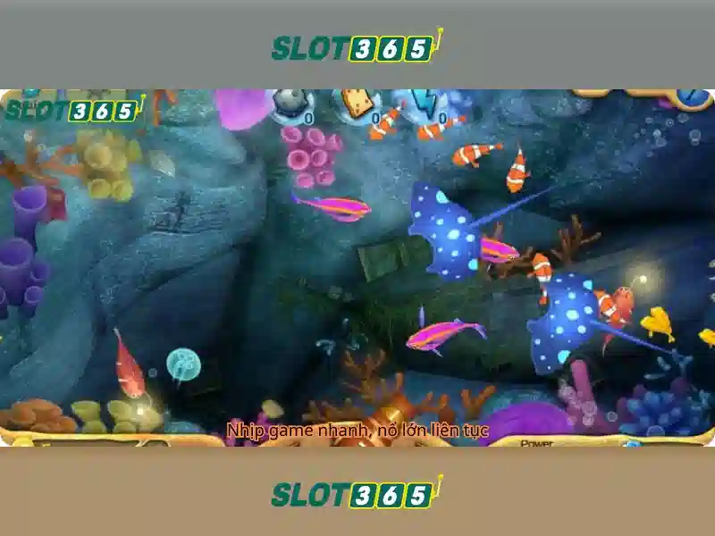 Trải nghiệm người dùng và Phản hồi cộng đồng