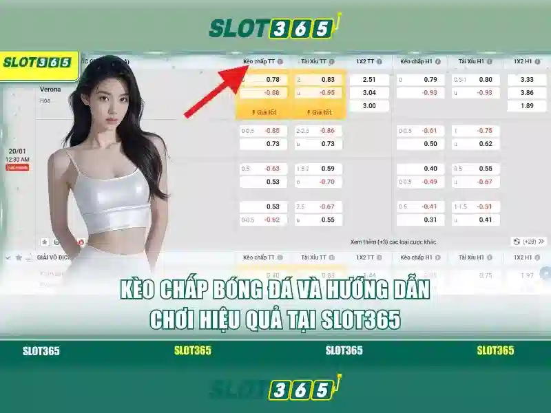 Hỗ trợ khách hàng 24/7 Hỗ trợ khách hàng 24/7