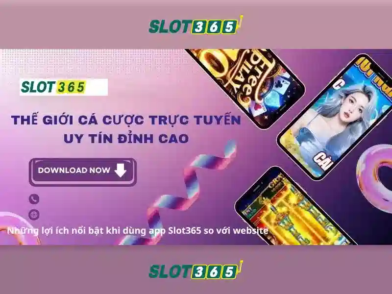 Các đặc điểm nổi bật