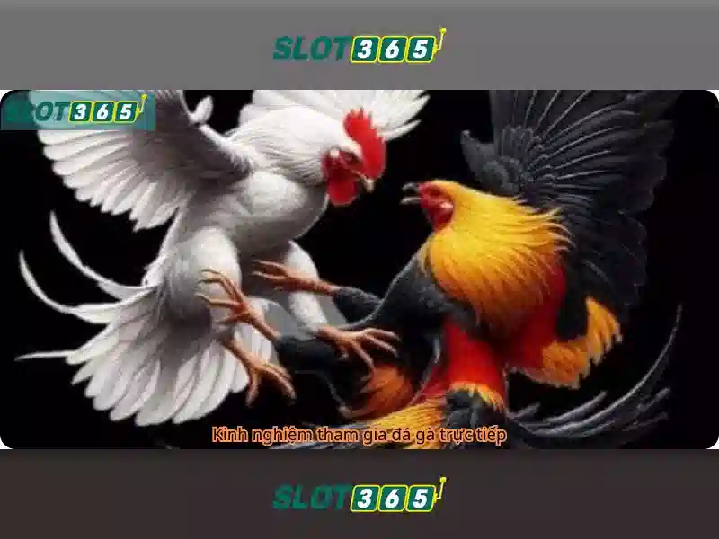 slot365 tải – Trải nghiệm đỉnh cao và rút thưởng Slot365 an toàn