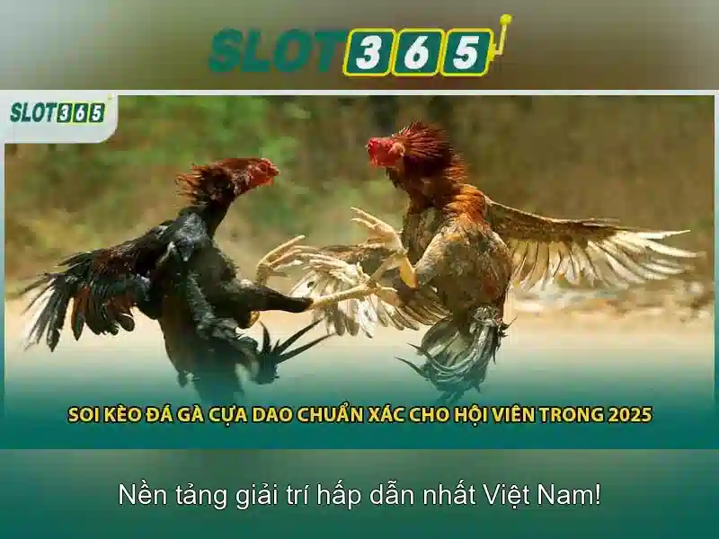 An toàn và thanh toán