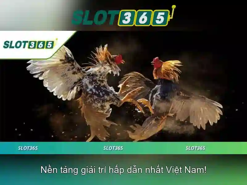Slot365: Trải nghiệm slot trực tuyến tối ưu