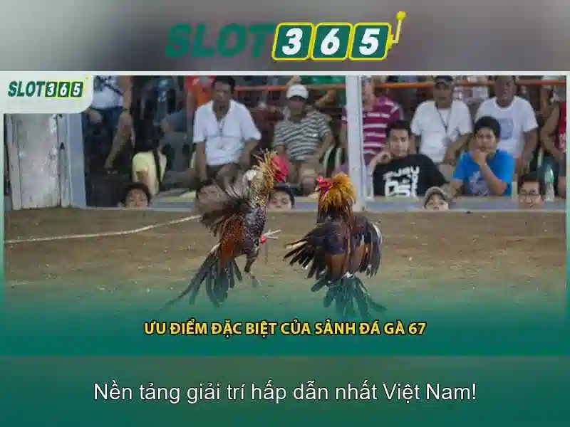 Các trò chơi nổi bật\n
