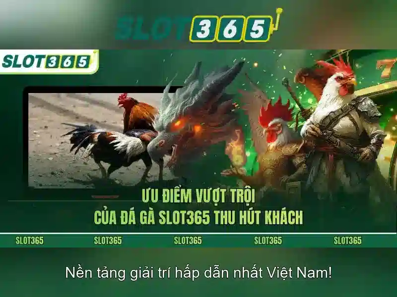 An toàn thanh toán và hỗ trợ