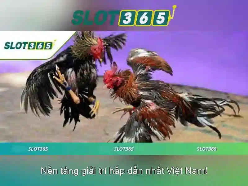 Slot365: Trải nghiệm máy slot trực tuyến tại Việt Nam