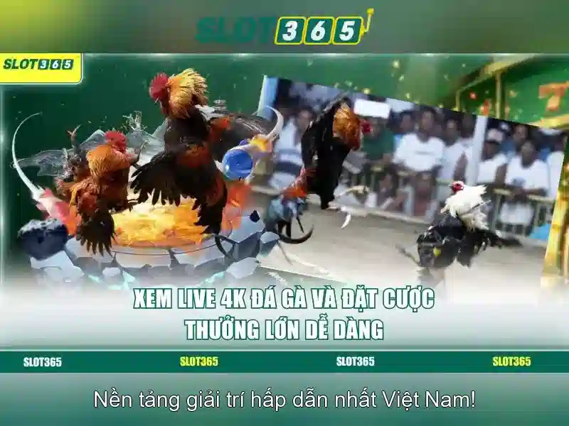 Các trò chơi nổi bật trên Slot365