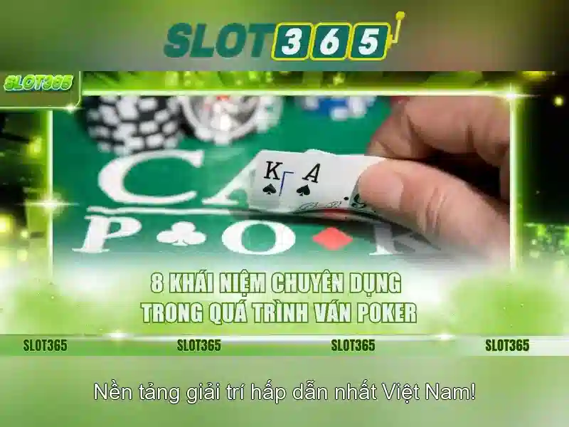 Đánh giá và trải nghiệm người dùng