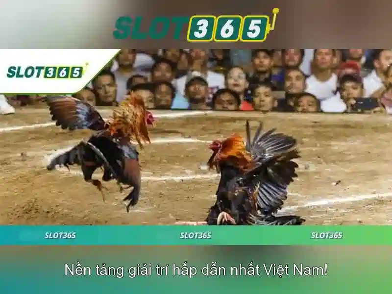 Slot365: Trải nghiệm casino quay số trực tuyến đỉnh cao