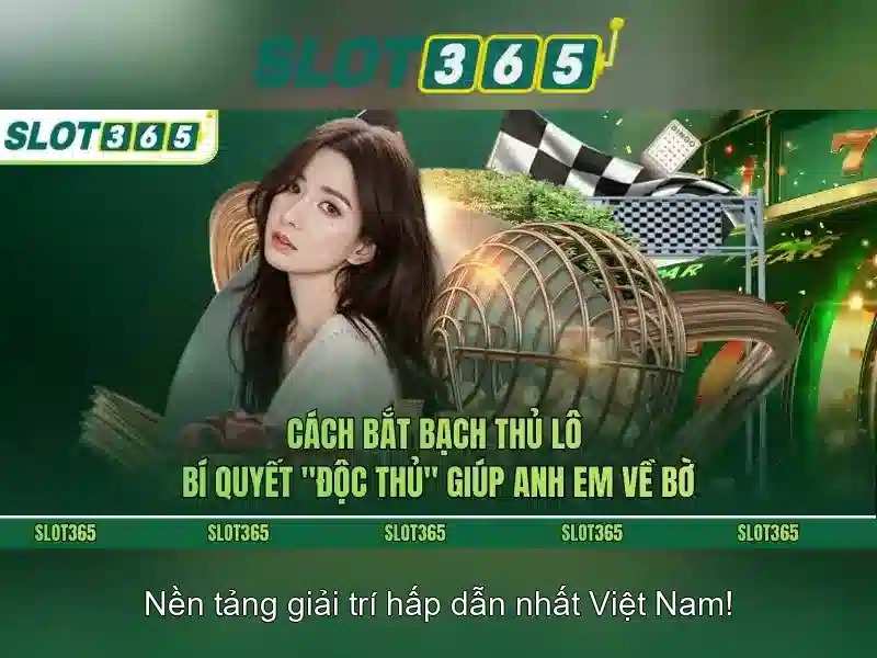 Trải nghiệm người dùng và giao diện\n