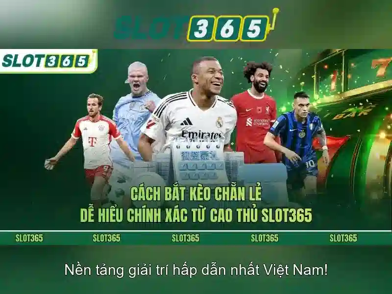 Giao diện thân thiện và trải nghiệm di động