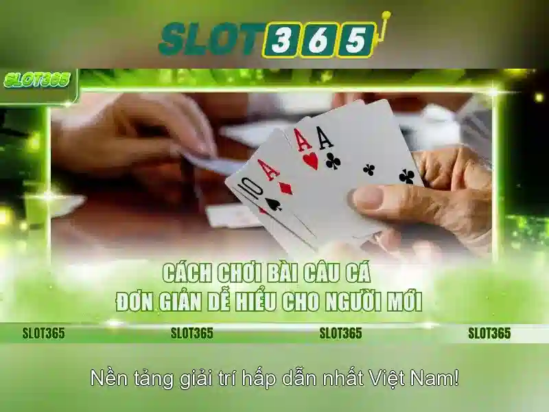 Làm thế nào để bắt đầu