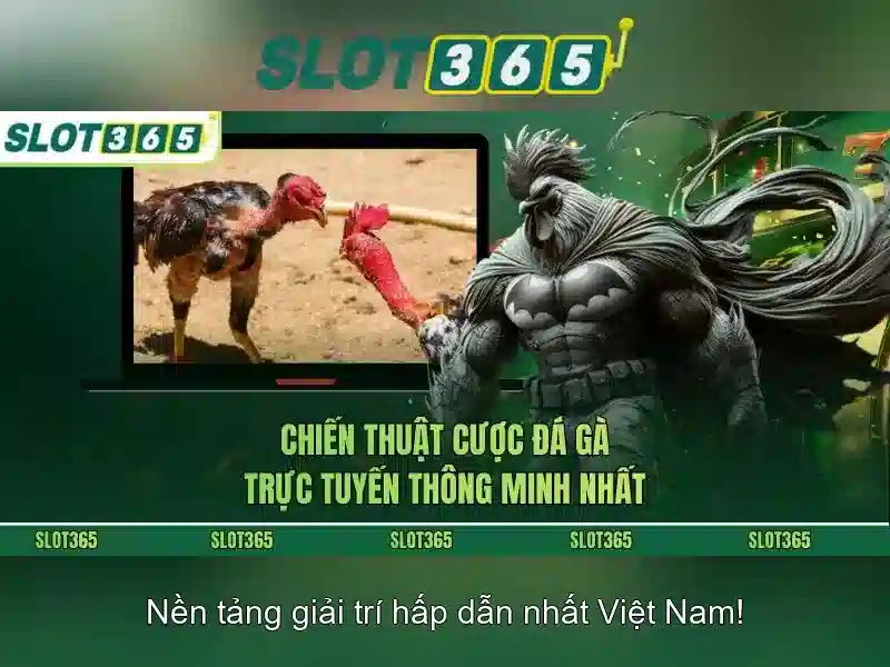 Slot365: Nền tảng máy xèng trực tuyến uy tín