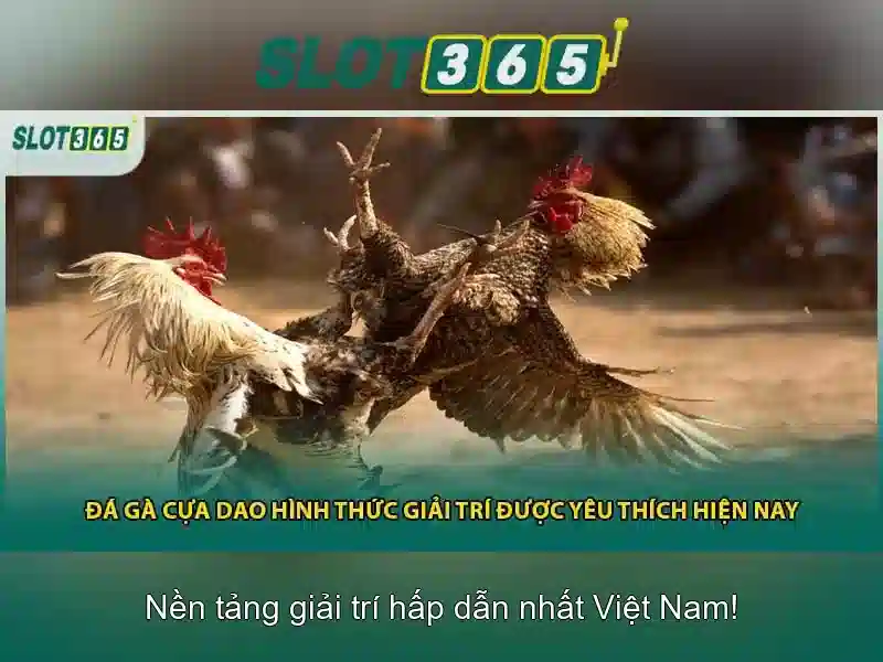 Slot365: Sòng bạc trực tuyến hàng đầu