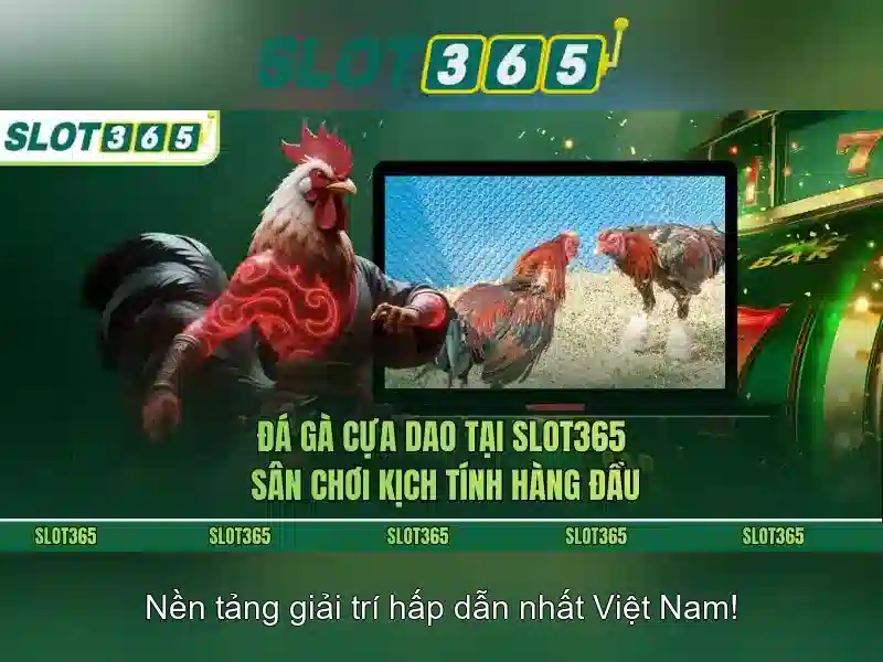 Slot365: Tổng quan và trải nghiệm cho người dùng