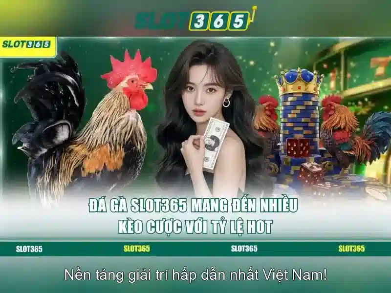 Slot365 là gì?\n