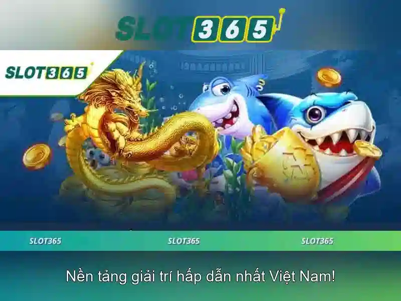 Khuyến mãi và chương trình thành viên