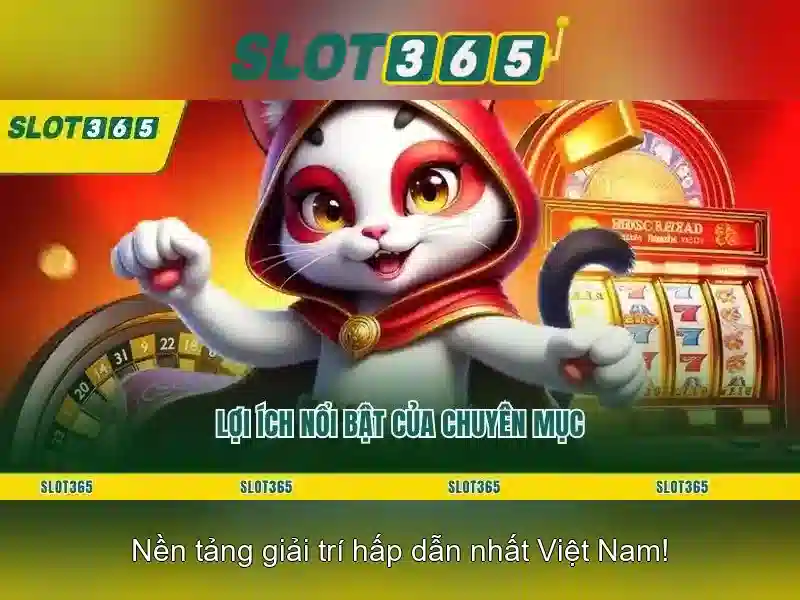 Slot365 – Cổng chơi slot trực tuyến hàng đầu