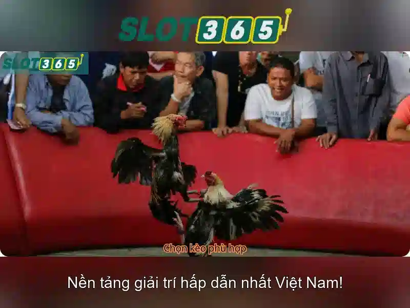 Các trò chơi nổi bật tại Slot365 và tính năng thưởng