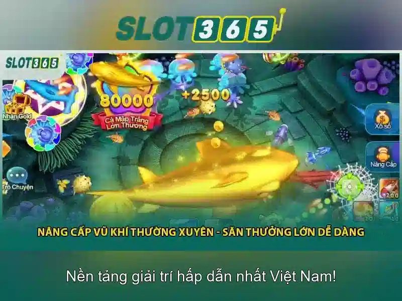 Slot365: Đánh giá tổng quan và trải nghiệm