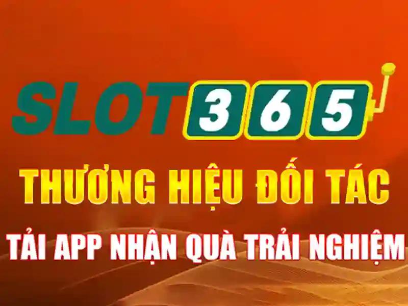 Slot365 là gì? Slot365 là gì?
