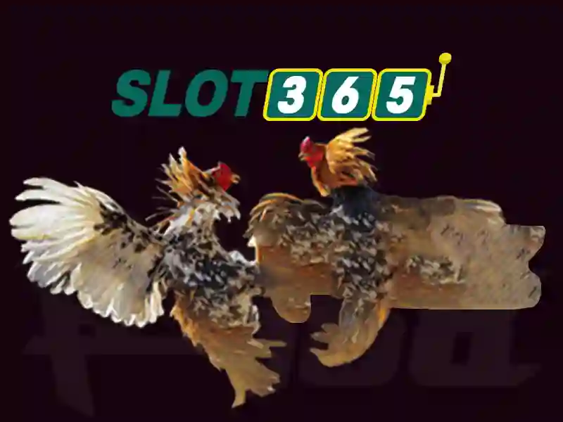slot365 apk – Trải nghiệm đỉnh cao cùng raja slot365