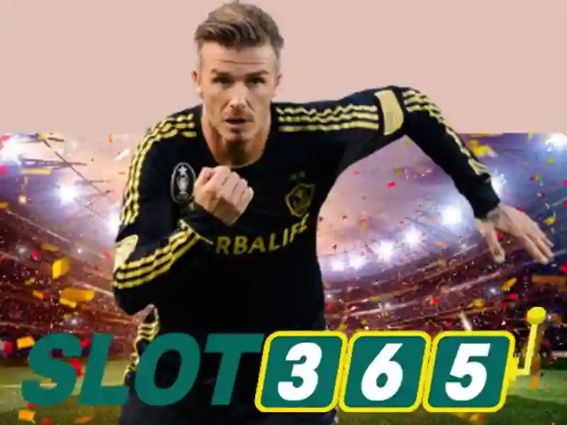 Slot365 - Nền tảng trò chơi xèng trực tuyến hàng đầu